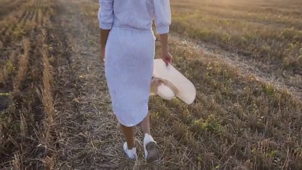 彼女の手で大きな帽子と青い帯でロングドレスにスリムな女の子は日没で夏の金分野のについて説明します。無料フィールドの歩道の上を歩く — ストック動画