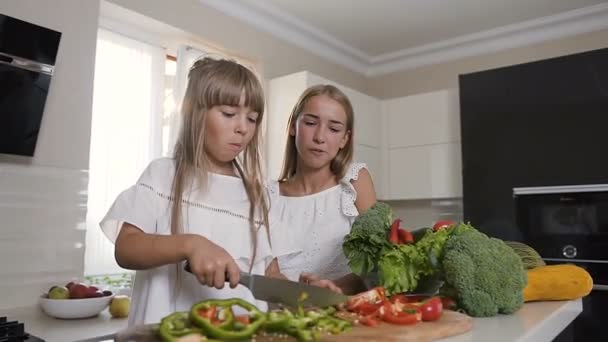 Deux jolies sœurs font des tranches de légumes. Les filles tranchent le paprika et préparent une salade de légumes. Une nourriture saine. Alimentation végétarienne — Video