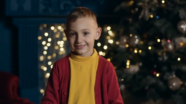 Netter kleiner Junge, der streng in die Kamera schaut und auf dem Hintergrund des Weihnachtsbaums lächelt. — Stockvideo
