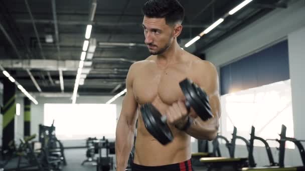 Bonito homem apto sem t-shirt fazendo exercícios para mãos com halteres . — Vídeo de Stock