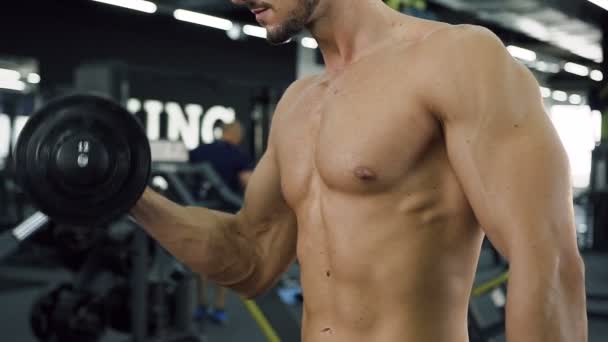 Gros plan de l'homme du sport faisant des exercices pour les mains à l'aide d'haltères sur le fond de la salle de gym . — Video