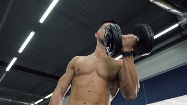 Atraente homem apto sem t-shirt fazendo exercícios para mãos com halteres . — Vídeo de Stock