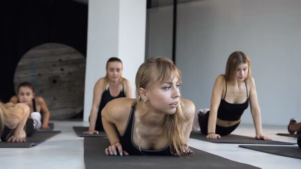 Gruppe junger sportlicher kaukasischer Menschen, die Yogastunden praktizieren und sich in nach oben gerichteten Hundeübungen strecken. Konzept aus Sport, Yoga, Fitness, Step-Aerobic und gesundem Lebensstil