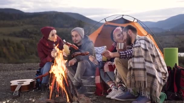 Deux mignons couples hipster avec bouteille de bière dans les mains, cuisiner des saucisses sur le feu dans la montagne . — Video