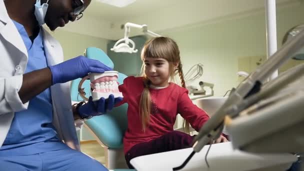 少女はそれをブラッシングしながらプラスチックの歯を保持しているアフリカの若い歯科医. — ストック動画