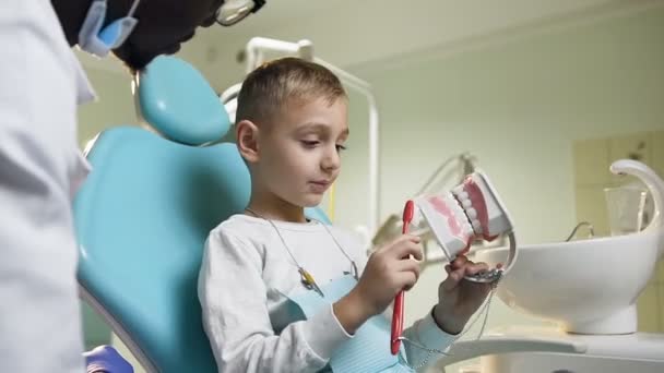 Cute little boy brushing plastic model of teeth under the supervision of dentist. — Stock Video