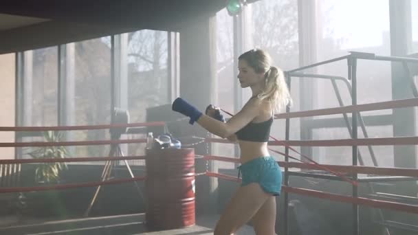 Focused young woman training in the boxing club. — Stock Video