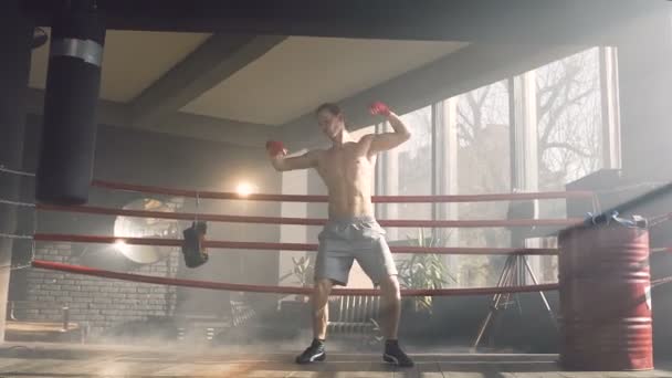 Молодой спортсмен танцует на боксерском ринге . — стоковое видео