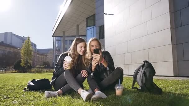 Attraktive Teenie-Freundinnen mit Smartphone, die bei sonnigem Wetter im Park sitzen und über lustige Bilder im Internet lachen. im Freien — Stockvideo