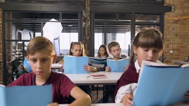 Gli alunni delle scuole elementari caucasiche seduti ai banchi studiano, leggendo i libri in classe. Concetto di istruzione e alunni — Video Stock