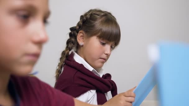 Porträtt av två härliga grundskoleelever som läser böcker som sitter bakom skrivbordet i klassrummet. Skolpojke och Skolflicka. Utbildning, Läsning, vänskap och skola — Stockvideo