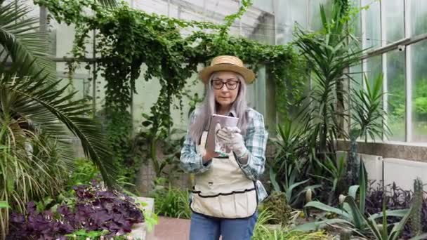 Vista frontal da bela mulher de 65-70 anos propositada em chapéu de palha em vestuário de trabalho em pé no orangery e trabalhando no i-pad — Vídeo de Stock