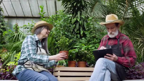 Portrait of good-looking satisfied busy elderly couple in straw hats and workwears which sitting in greenhouse and making notes into papers as to their crops of plants,4k — Stock Video