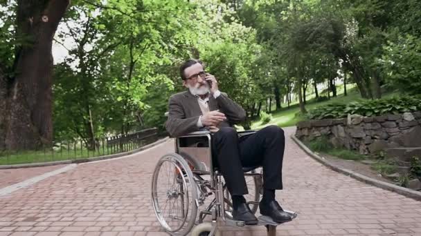 Повільний рух задоволений усміхненим бородатим зрілим чоловіком, який сидить у інвалідному візку в зеленому парку і розмовляє по телефону — стокове відео