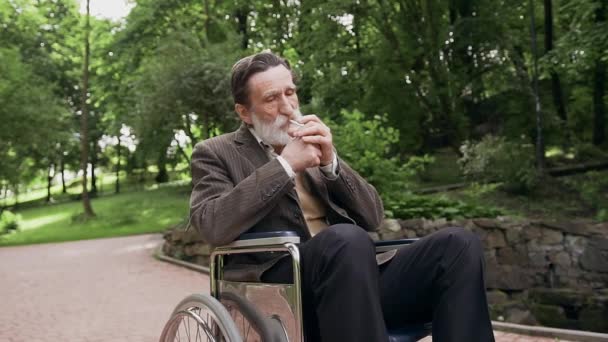 Close up of handsome respected bearded man in wheelchair which smoking in green park while walking in daytime — Stock Video