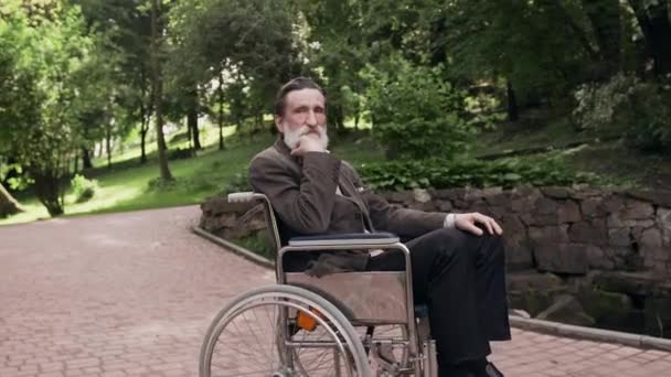 Pensiunan berjenggot yang tampan dan dihormati duduk di kursi roda dan melihat kamera dengan latar belakang taman hijau — Stok Video