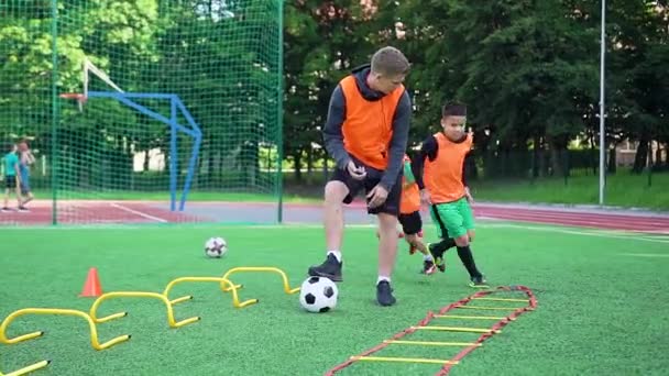 Koncepcja piłki nożnej, w której uporczywi piłkarze 13s aktywnych wykonujących ćwiczenia z przeszkodami pod nadzorem ich skoncentrowany trener zawodowy na boisku piłkarskim — Wideo stockowe