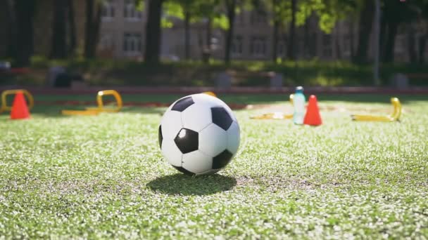 Pallone da calcio in pelle sdraiato sull'erba verde che copre mentre calciatore sconosciuto maschio o femmina che lo calcia verso il cancello — Video Stock