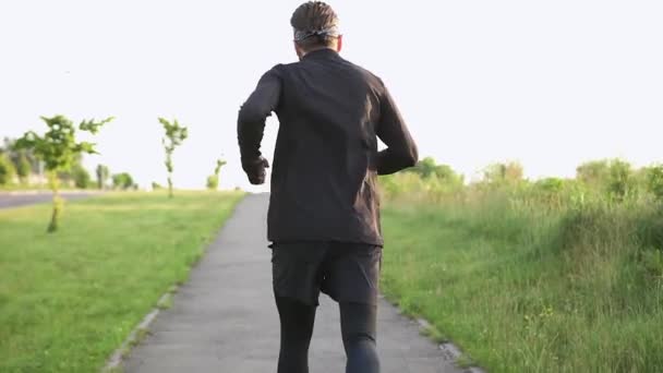 Vista posterior de hombre activo deportivo desconocido en ropa deportiva que se ejecuta en el camino cerca del campo verde en el día — Vídeos de Stock