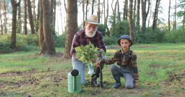 Snygg glad leende skäggig farfar och hans sonson poserar på kameran under plantering ung plantering av ek i parken, slow motion — Stockvideo