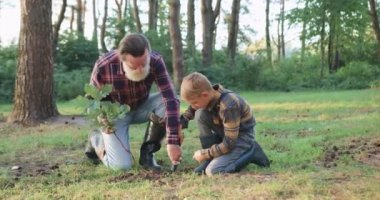 Parkta yakışıklı, açık renk saçlı torununa meşe tohumu için çukur kazmaya yardım eden saygı duyulan yaşlı, sakallı dedesinin ön görüntüsü.