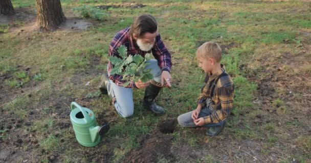 Probable expérimenté senior barbu grand-père expliquant comment planter correctement des arbres à son petit-fils attrayant intéressé, puis ensemble mettre dans le trou jeune semis — Video