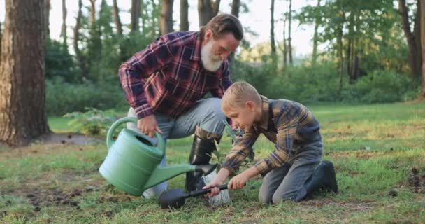 Avô amigável positivo trabalhador provável junto com seu neto pequeno que molha a árvore nova no chão no parque verde, conceito jardinando da família — Vídeo de Stock
