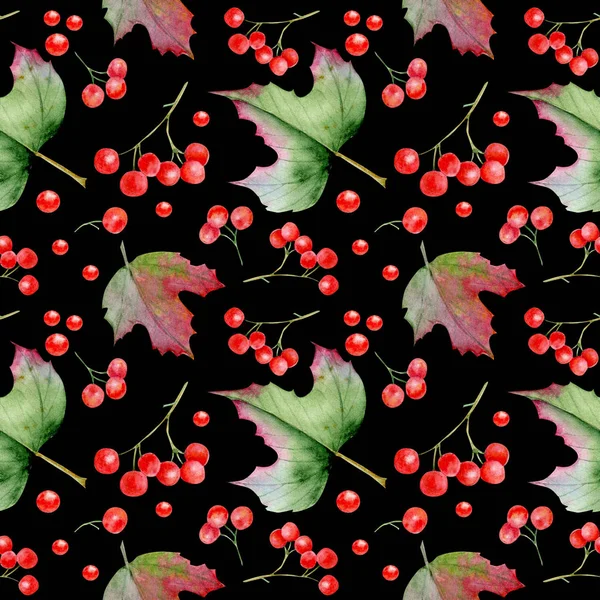 ガマズミ属の木の枝 e 果実のシームレス パターン — ストック写真