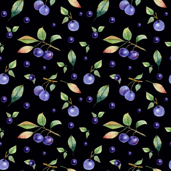 슬로우의 지점 e 열매의 완벽 한 패턴 — 스톡 사진