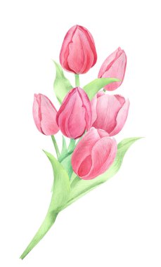 suluboya bahar çiçekleri