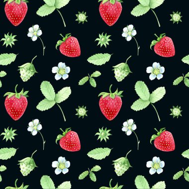 Tatlı yaz meyveleri