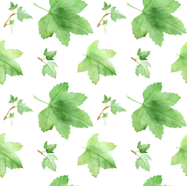 Currants leaf, pattern — Stock Photo, Image