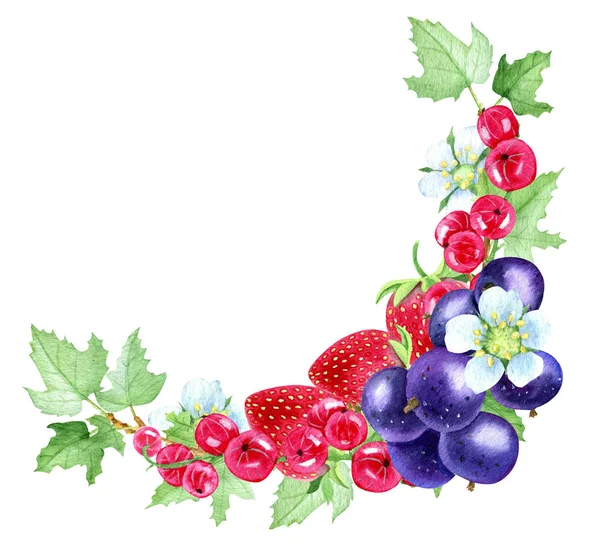 Sweet summer berries — Stock Photo, Image