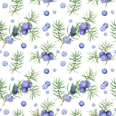 dal üzerinde ardıç berry illüstrasyon