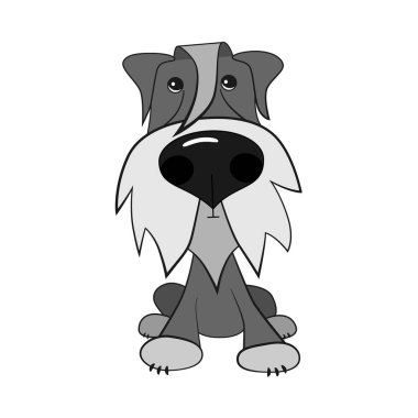 Büyük burunlu Schnauzer cinsi