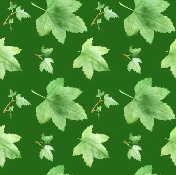 Currants leaf, pattern — Stock Photo, Image