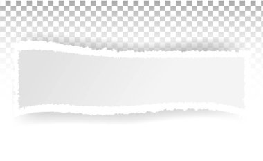 Yırtık kağıt delikleri. Ağ ve yazdırma için saydam bir arkaplan üzerinde kağıt sayfasında delik.