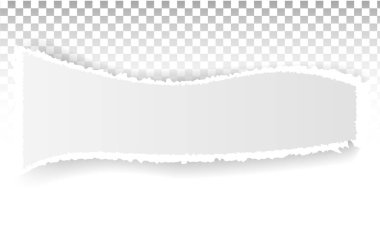 Yırtık kağıt delikleri. Ağ ve yazdırma için saydam bir arkaplan üzerinde kağıt sayfasında delik.