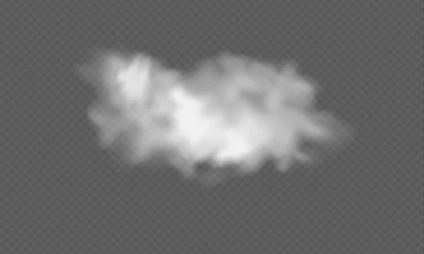 Nuvem Transparente Realista Textura Nuvens Para Decoração Modelo Web Impressão —  Vetores de Stock