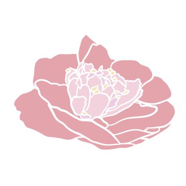    Çiçekli kamelya mürekkebi çizimi. Çiçek arkaplan. El çizimi botanik çizimi.