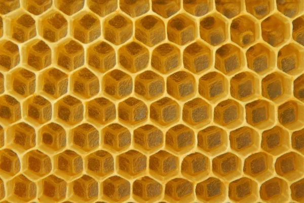 Желтые Пчелиные Клетки Медом Здоровой Пищи Фон — стоковое фото