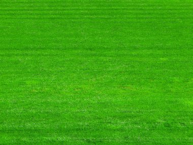 yeşil çimenlerin üzerinde futbol alan arka plan.