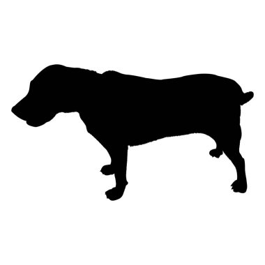 Beyaz arka plan vektör illüstrasyon izole labrador köpek siluet.