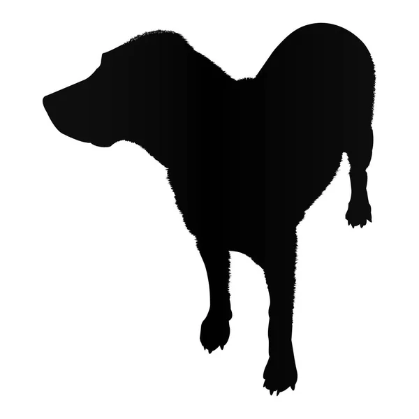 Silueta Perro Labrador Aislado Sobre Fondo Blanco Vector Ilustración — Vector de stock