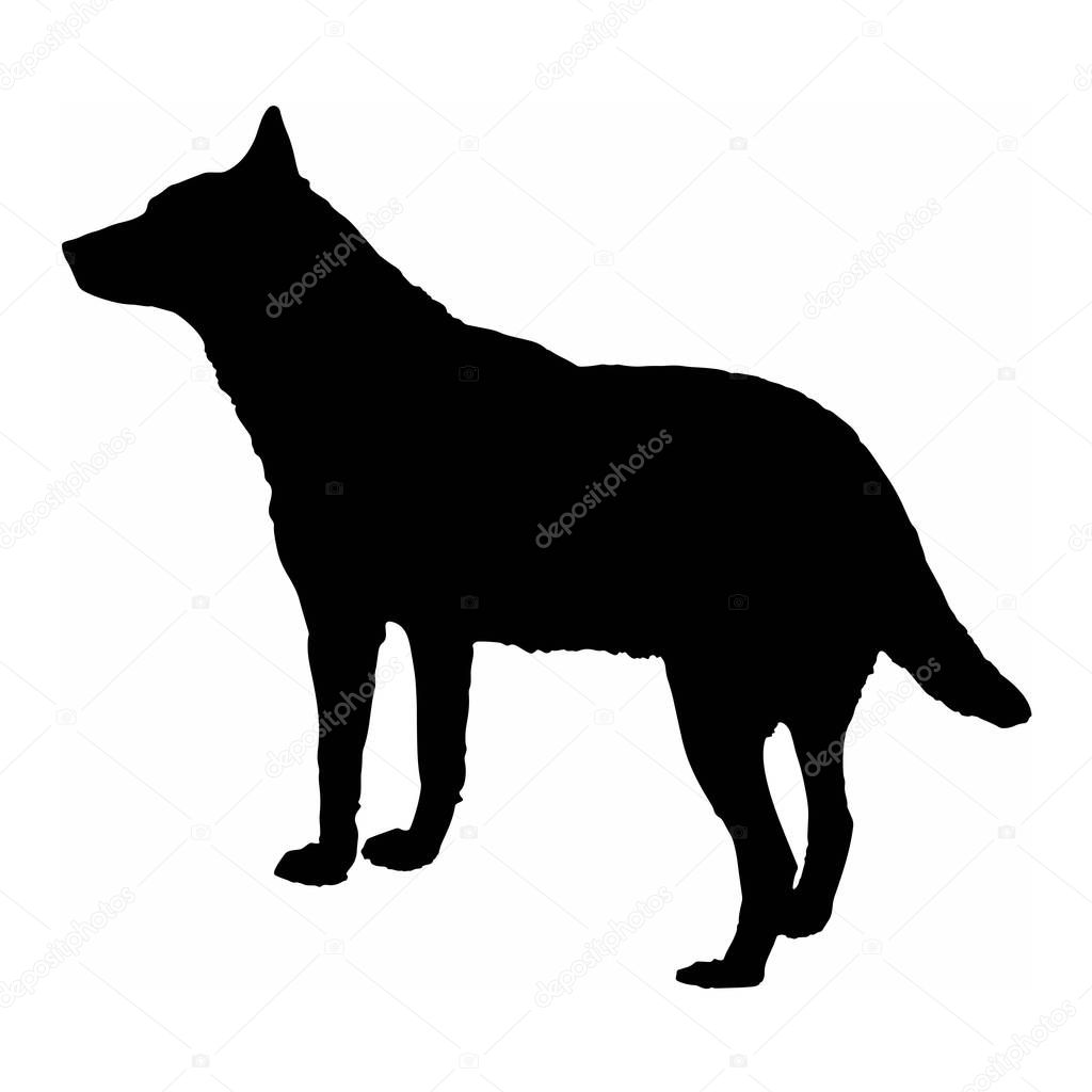 dog wolf black silhouette isolate on white background vector illustration.