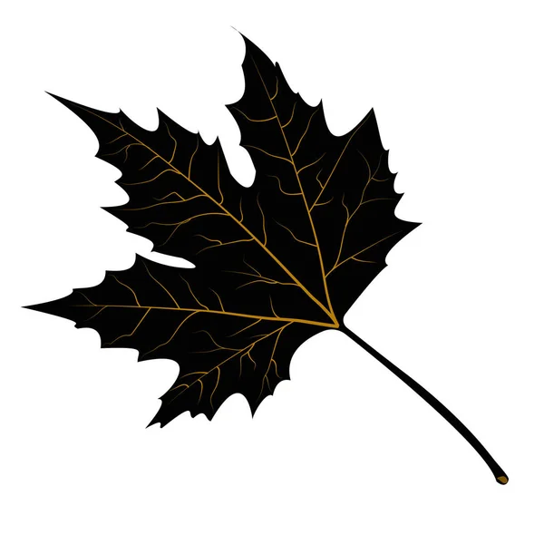 Maple Leaves Black Silhouette Vector Illustration White Background — Stock Vector