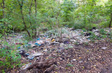 Ormanın kirliliği atık ile doğanın içinde çöp