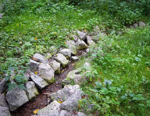 Primavera nel bosco rivestito di pietre con erba verde in estate soleggiata — Foto Stock