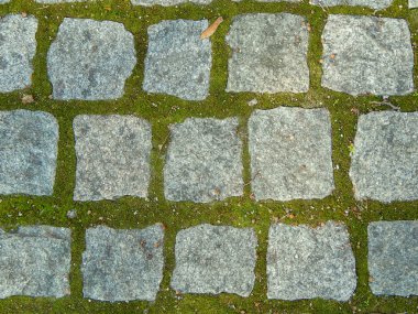 harç yosun ile tuğla kaldırım