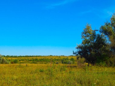 Gün batımında güzel yaz manzarası. Kır çayırı